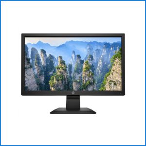 Màn hình HP 18.5inch P19V HD Led