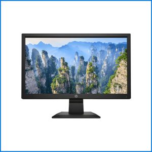 Màn hình HP 19.5inch P204V HD+ TN