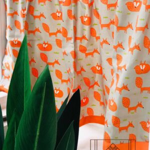 Japanese curtain
