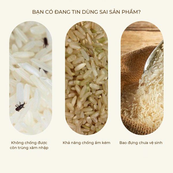 Thùng gạo chống ẩm CCKO