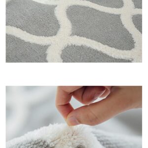 Chăn lông xám trắng họa tiết đồ thị hình sin