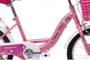 Xe đạp trẻ em Thống Nhất TE 16” - 03